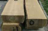 Squared log 